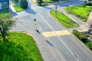 Strelnitsky 高速公路上的人行横道。 网络摄像头 Krasnoye Selo