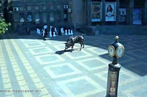 查尔斯·阿兹纳沃尔广场。埃里温摄像头在线