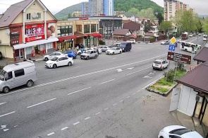 Armavir 和 Batumi 高速公路的交叉口。 网络摄像头