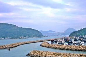 海湾地区Simango. 摄像头香港在线