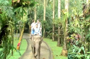 象公园。 摄像头巴厘岛在线