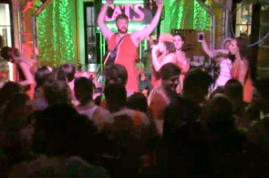 卡拉ok酒吧猫，喵喵，阶段。 摄像头在线新奥尔良