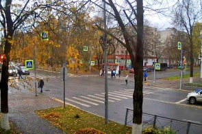卡尔马克思大道和 Vorovskogo 的十字路口。 网络摄像头 Kingisepp