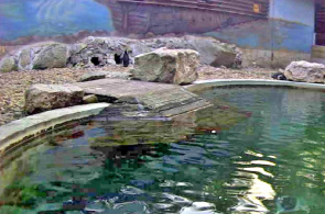 巴布亚企鹅塞格迪·瓦达斯帕克动物园网络摄像头在线