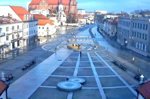 比亚韦斯托克在线摄像头。 Kosciuszko广场