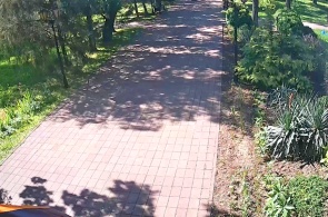 中央公园。格奥尔基耶夫斯克在线网络摄像头