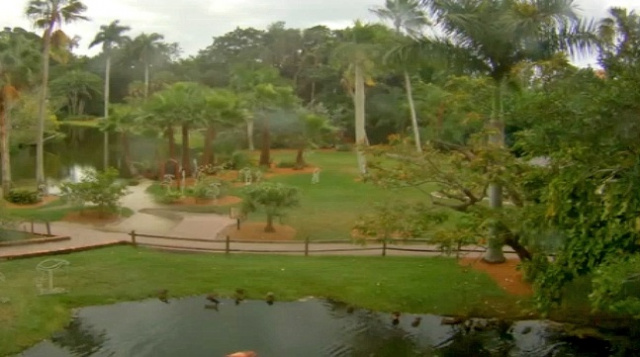 萨拉索塔丛林花园在线摄像头