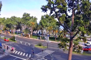 M.A.R. 人行横道。 网络摄像头 马德拉岛