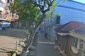 普希金巷。 Afipsky 在线网络摄像头