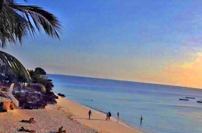 从我的蓝色酒店看到海滩。 Nungwi网络摄像头