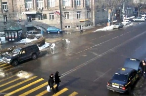 Yerevan网络摄像头在线，Tigran Metza str