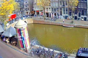 红灯区。 网络摄像头 阿姆斯特丹