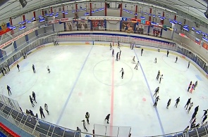 竞技场300体育俱乐部（冰场）。 伯德斯克网络摄像头