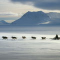 搜索对尼斯湖水怪，旅游在狗雪橇和狩猎的鲸鱼。 要做的事情在楚科奇