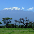 坦桑尼亚旅游：游客指南