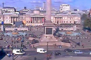 特拉法加广场。伦敦实时