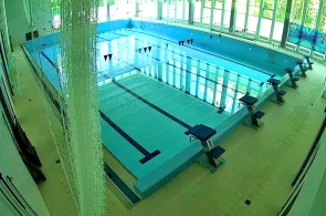Zarya 微区的游泳池。 网络摄像头 Balashikha
