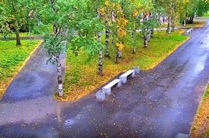 加鲁希纳的梅斯基公园。 网络摄像头 阿尔汉格尔斯克